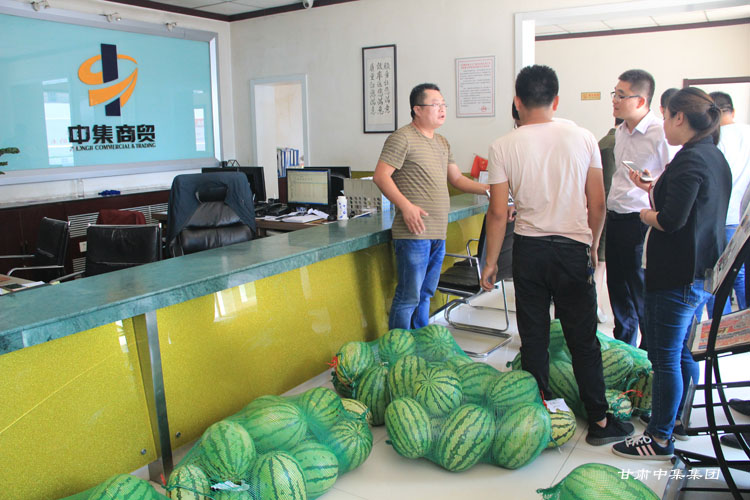 �T���L��