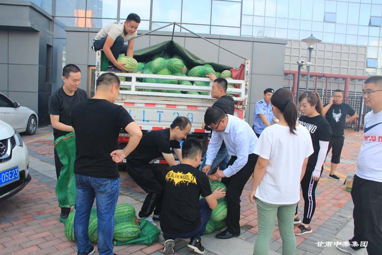 �T���L��